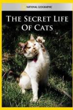 Watch National Geographic The Secret Life of Cats 123movieshub