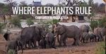 Watch Where Elephants Rule 123movieshub