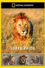 Watch National Geographic: Super Pride Africa\'s Largest Lion Pride 123movieshub