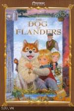 Watch The Dog of Flanders 123movieshub