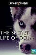 Watch Secret Life of Dogs 123movieshub