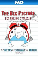 Watch The Big Picture Rethinking Dyslexia 123movieshub