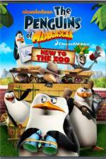 Watch Penguins of Madagascar New to the Zoo 123movieshub