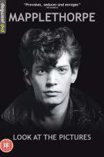 Watch Mapplethorpe: Look at the Pictures 123movieshub