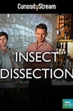 Watch Insect Dissection: How Insects Work 123movieshub