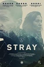 Watch Stray 123movieshub