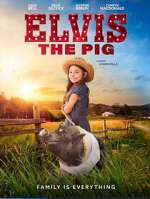 Watch Elvis the Pig 123movieshub