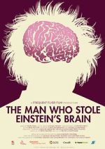 Watch The Man Who Stole Einstein\'s Brain 123movieshub
