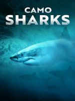 Watch Camo Sharks 123movieshub