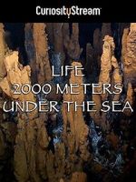 Watch Life 2,000 Meters Under the Sea 123movieshub