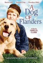 Watch A Dog of Flanders 123movieshub