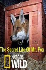 Watch The Secret Life of Mr. Fox 123movieshub