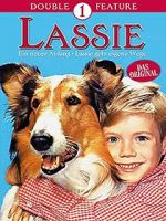 Watch Lassie: A New Beginning 123movieshub