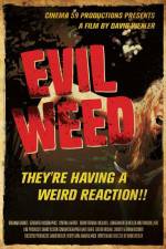 Watch Evil Weed 123movieshub