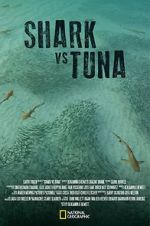 Watch Shark vs Tuna 123movieshub