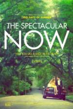 Watch The Spectacular Now 123movieshub