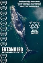 Watch Entangled: The Race to Save Right Whales from Extinction 123movieshub