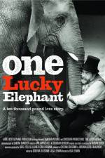 Watch En lycklig elefant 123movieshub
