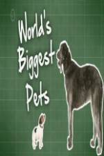 Watch World's Biggest Pets 123movieshub