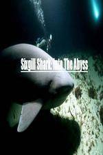 Watch National Geographic Wild Sixgill Shark Into The Abyss 123movieshub