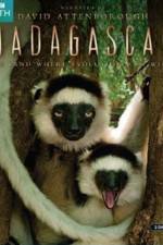 Watch Madagascar Island of Marvels 123movieshub