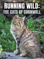 Watch Running Wild: The Cats of Cornwall (TV Special 2020) 123movieshub