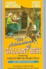 Watch Adventures of Gallant Bess 123movieshub