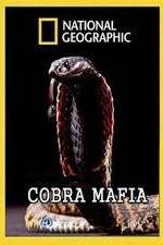 Watch National Geographic Cobra Mafia 123movieshub