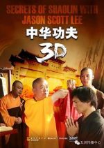 Watch Secrets of Shaolin with Jason Scott Lee 123movieshub