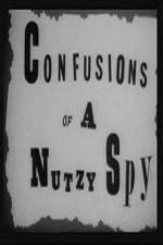 Watch Confusions of a Nutzy Spy 123movieshub