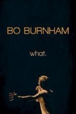 Watch Bo Burnham: what. 123movieshub