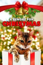 Watch A Bengal for Christmas 123movieshub