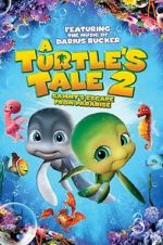 Watch A Turtle\'s Tale 2: Sammy\'s Escape from Paradise 123movieshub