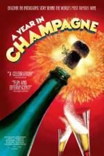 Watch A Year in Champagne 123movieshub