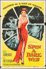 Watch Spin a Dark Web 123movieshub