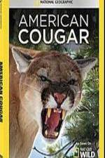 Watch National Geographic - American Cougar 123movieshub