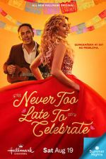 Watch Never Too Late to Celebrate 123movieshub