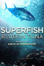 Watch Superfish Bluefin Tuna 123movieshub