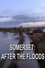 Watch Somerset: After the Floods 123movieshub