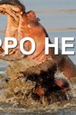 Watch Hippo Hell 123movieshub