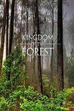 Watch National Geographic Kingdom of the Forest 123movieshub