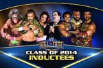 Watch WWE Hall of Fame 123movieshub