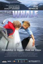 Watch The Whale 123movieshub