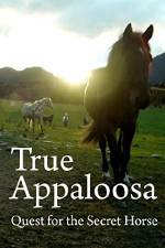 Watch True Appaloosa 123movieshub