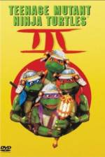 Watch Teenage Mutant Ninja Turtles III 123movieshub