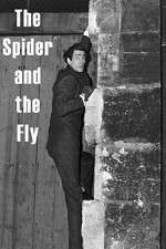 Watch The Spider and the Fly 123movieshub