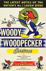 Watch The Woody Woodpecker Polka 123movieshub