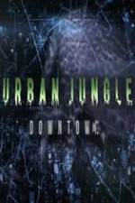 Watch National Geographic Wild Urban Jungle Downtown 123movieshub