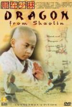 Watch Long zai Shaolin 123movieshub