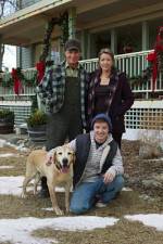 Watch Hallmark Hall of Fame A Dog Named Christmas 123movieshub